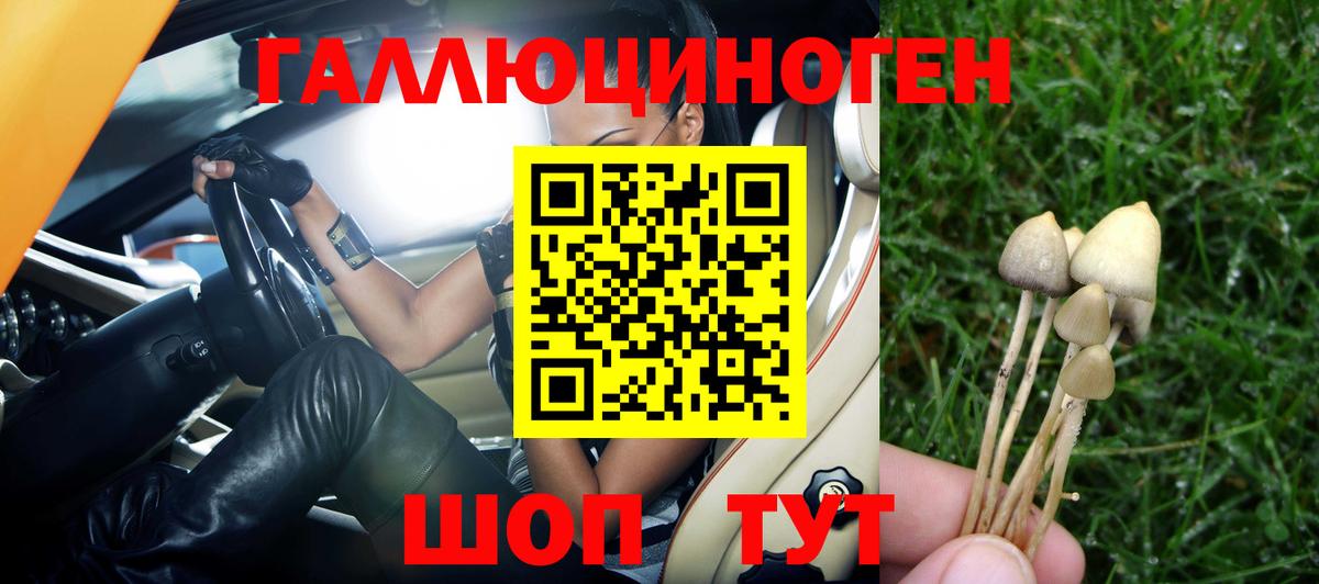Галлюциногенные грибы Cubensis  Галлюциногенные грибы Cubensis  Вход с VPN  купить  сайты  Касимов 